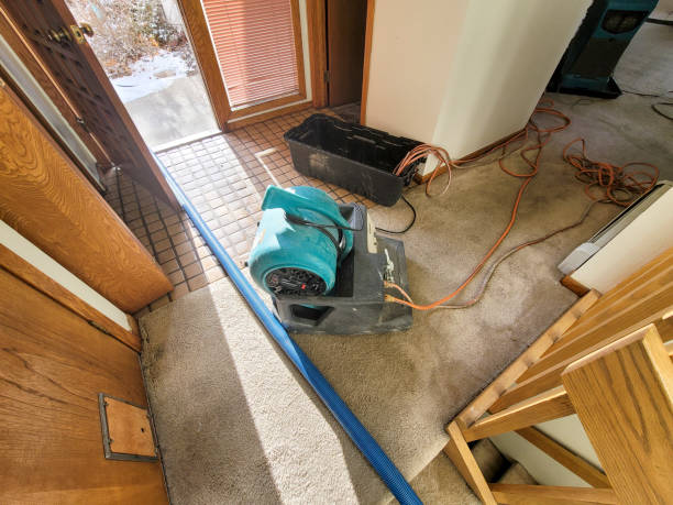 Best Water damage restoration near me  in Port Angeles East, WA