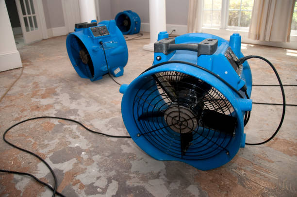  Port Angeles East, WA Water damage restoration Pros