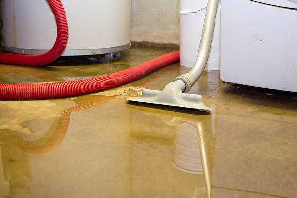 Best Water damage cleanup near me  in Port Angeles East, WA