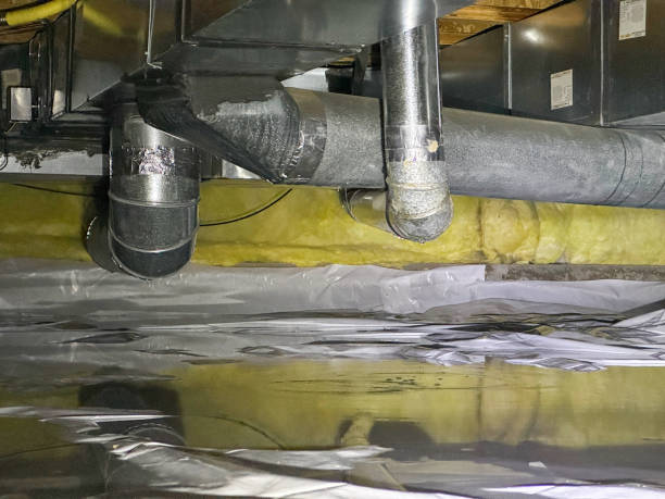 Best Local water damage restoration  in Port Angeles East, WA