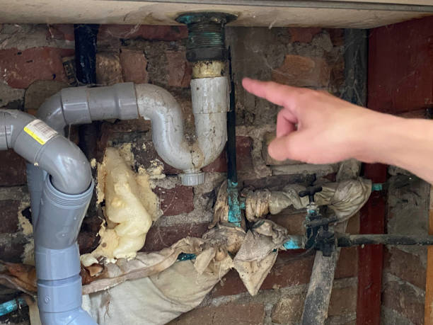 Best Flood damage cleanup  in Port Angeles East, WA