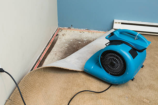 Trusted Port Angeles East, WA Water damage restoration Experts